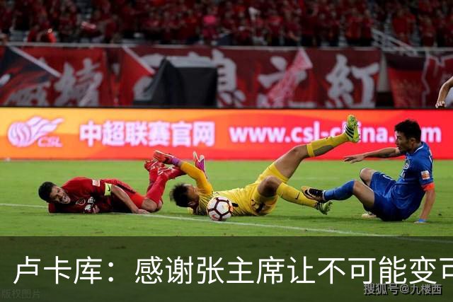 卢卡库：感谢张主席让不可能变可能 会全力帮国米